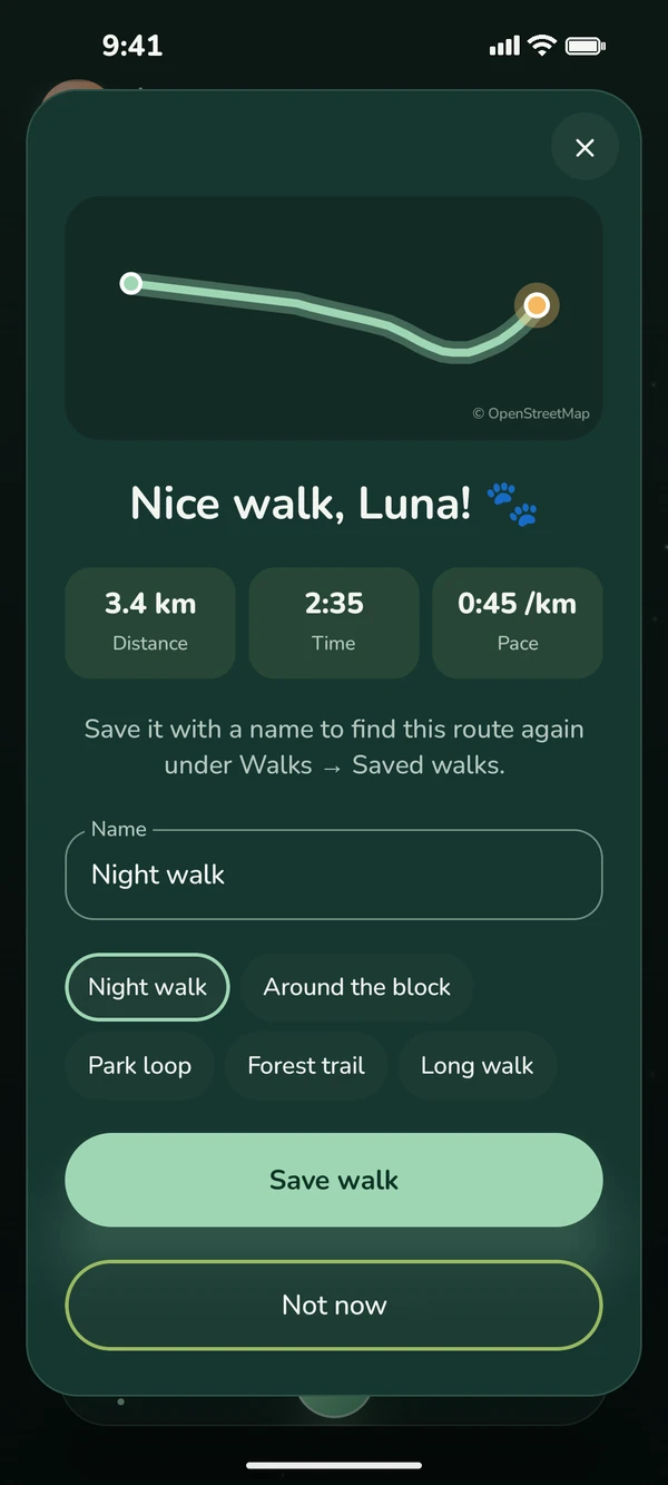 Walk finished: route, 3.4 km, time and pace, save with a name